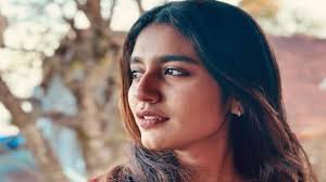 ഇഷ്‌ടമില്ലാത്ത കാര്യങ്ങള്‍ ചെയ്യണം, അങ്ങനെ ചെയ്‌താലെ സര്‍വൈവ് ചെയ്യാനാകൂ; കാസ്‌റ്റിംഗ് കൗച്ചിനെ കുറിച്ച് പ്രിയ വാര്യര്‍
